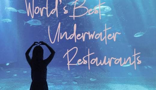 人生で一度は訪れたい世界の美しい水中レストラン7選