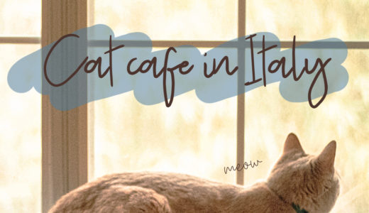 イタリア・トリノの猫カフェに行ってみた 日本の猫カフェとの違いとは?